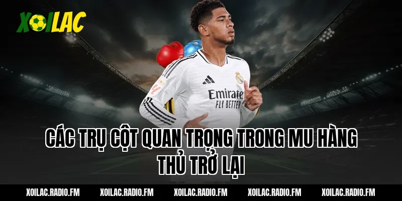 Các trụ cột quan trọng trong mu hàng thủ trở lại