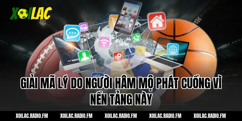 Giải Mã Lý Do Người Hâm Mộ Phát Cuồng Vì Nền Tảng Này
