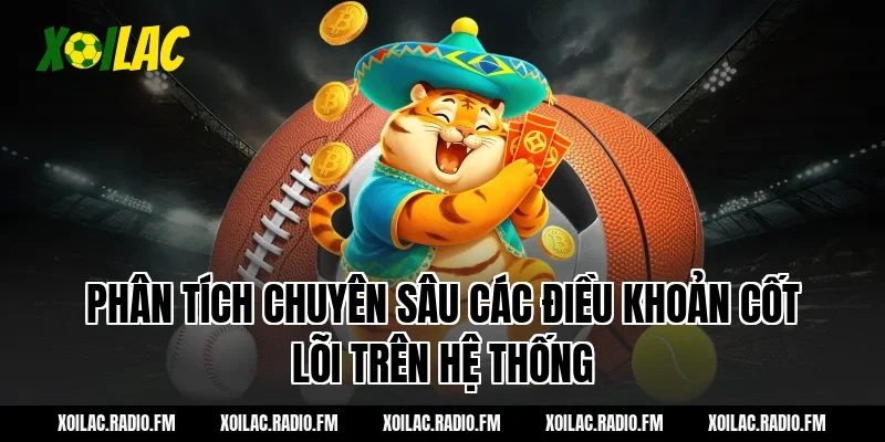 Phân Tích Chuyên Sâu Các Điều Khoản Cốt Lõi Trên Hệ Thống