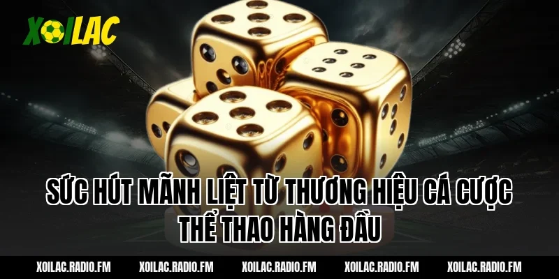 Sức hút mãnh liệt từ thương hiệu cá cược thể thao hàng đầu